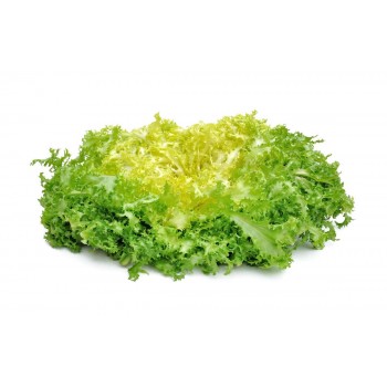 Salade frisée