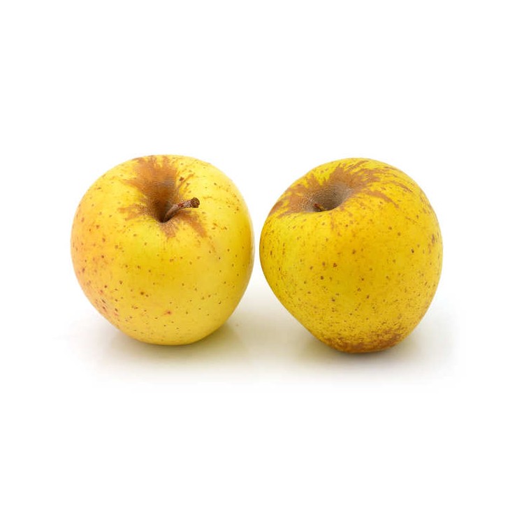 Pomme Golden Hautes Alpes BIO, 1kg
