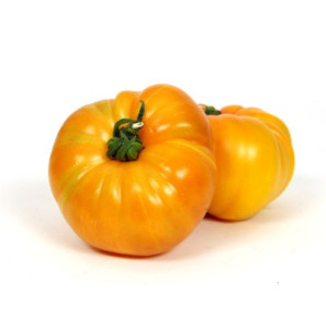 Tomate côtelée jaune BIO, 1kg