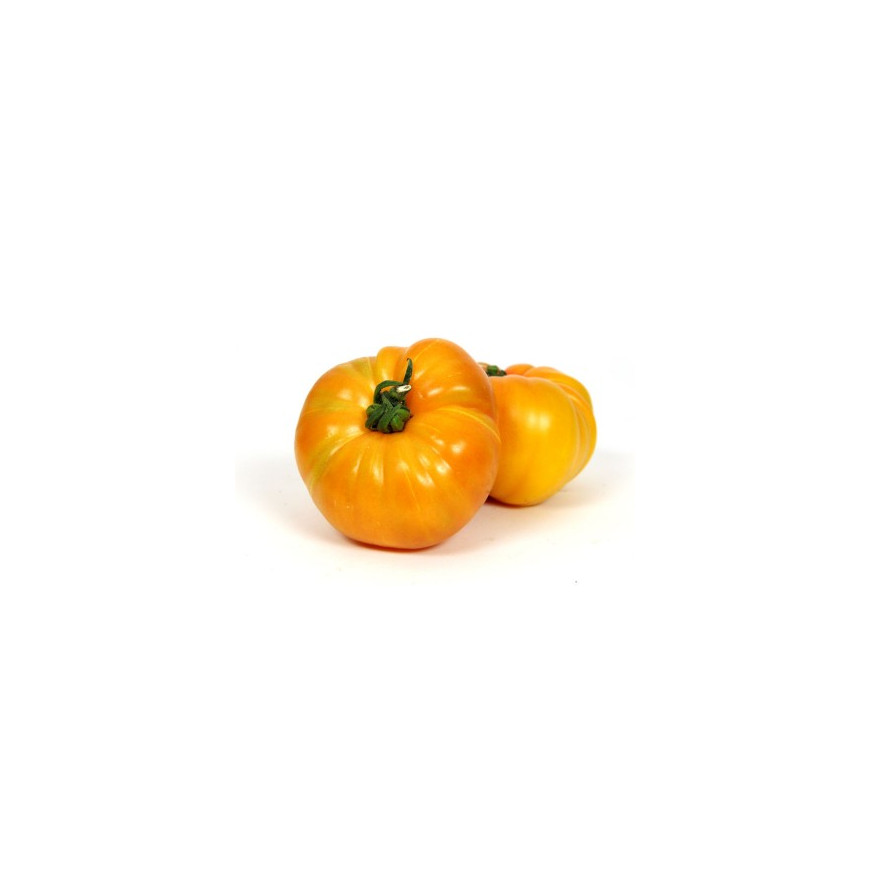 Tomate côtelée jaune BIO, 1kg